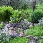 Rockery Device: Basic Rules And Stone Selection