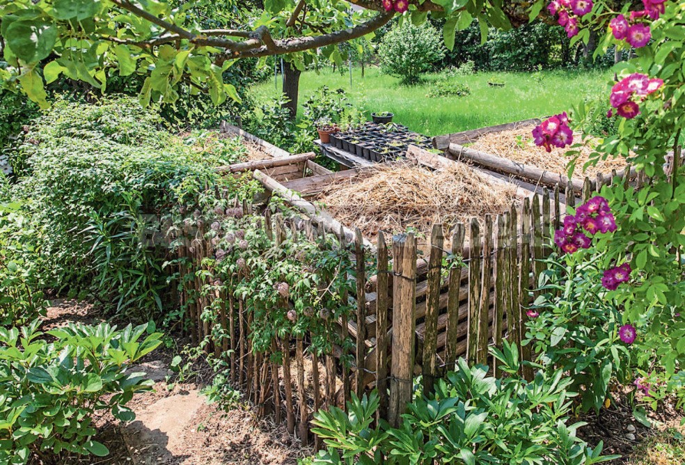 A Few Simple Rules Of The Eco-Garden. How To Make a Plot Eco-Friendly