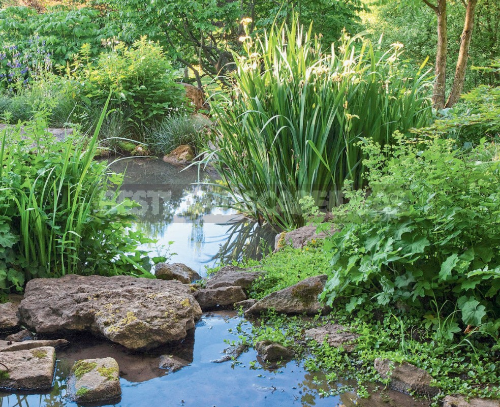 A Few Simple Rules Of The Eco-Garden. How To Make a Plot Eco-Friendly