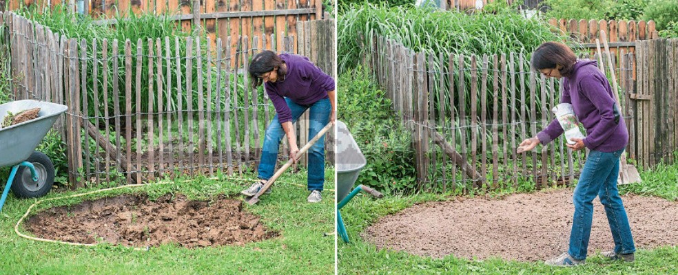 A Few Simple Rules Of The Eco-Garden. How To Make a Plot Eco-Friendly