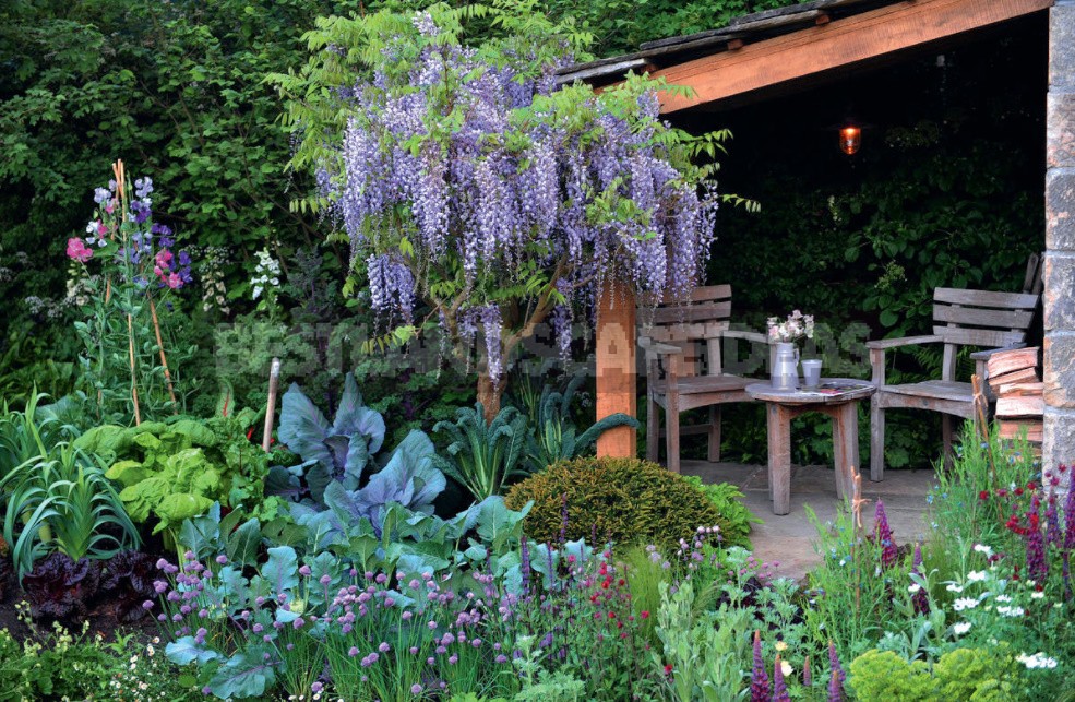 Cottages Tricks: Useful Tips For The Garden And Vegetable Garden