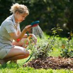 Cottages Tricks: Useful Tips For The Garden And Vegetable Garden