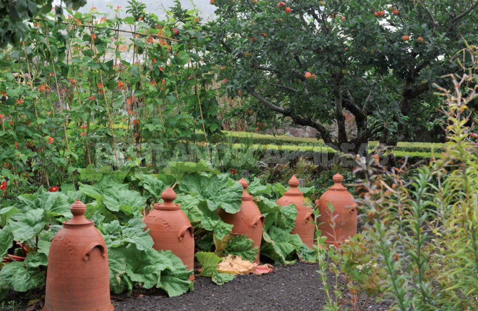 Cottages Tricks: Useful Tips For The Garden And Vegetable Garden