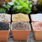 Fertilizers In Chelated Form: What It Is, How To Choose And Apply It
