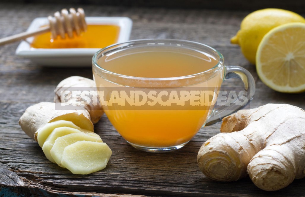 Folk Remedies For The Prevention Of Colds
