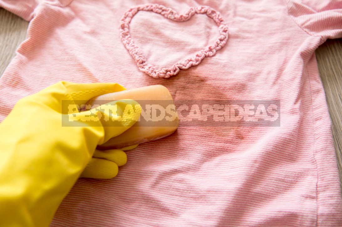 How To Remove Stains By Improvised Means: We Determine The Working Methods