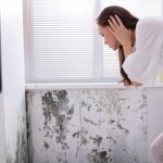How To Get Rid Of Mold In The Bathroom