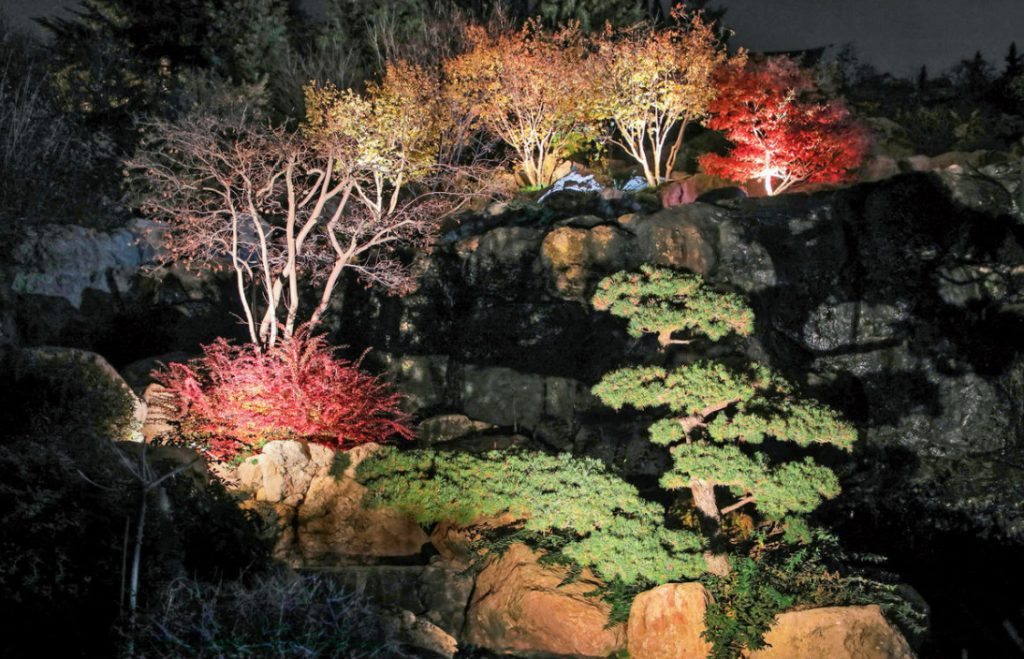 How To Take Photos In The Dark? All The Secrets Of Night Garden Photography