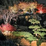 How To Take Photos In The Dark? All The Secrets Of Night Garden Photography