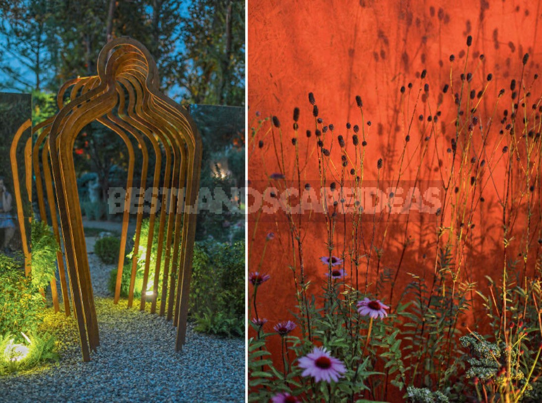 How To Take Photos In The Dark? All The Secrets Of Night Garden Photography