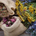 Medicine Or Poison? Dangerous Medicinal Plants For Health (Part 2)