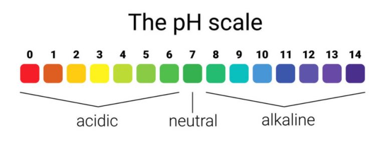 What Is Soil Acidity And How Does It Affect Plants? - Best Landscape Ideas