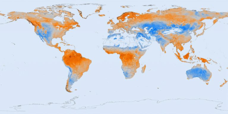 what-is-soil-acidity-and-how-does-it-affect-plants-best-landscape-ideas