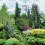 Secrets Of Garden Beauty From a Professional