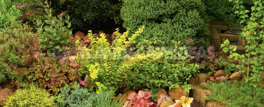 Secrets Of Garden Beauty From a Professional