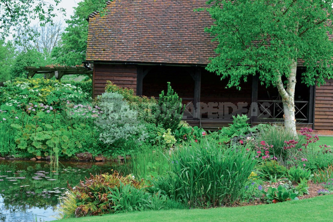 15 Cottage Garden Design Ideas. Creating a Blooming Plot, Like The English