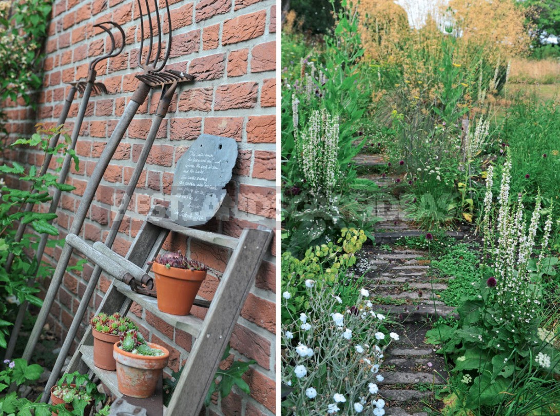 15 Cottage Garden Design Ideas. Creating a Blooming Plot, Like The English