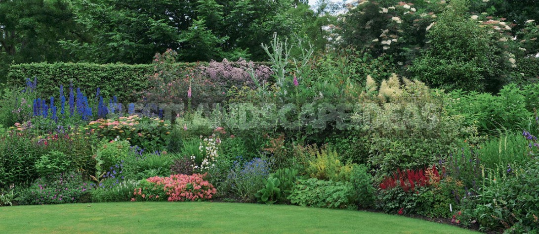 15 Cottage Garden Design Ideas. Creating a Blooming Plot, Like The English