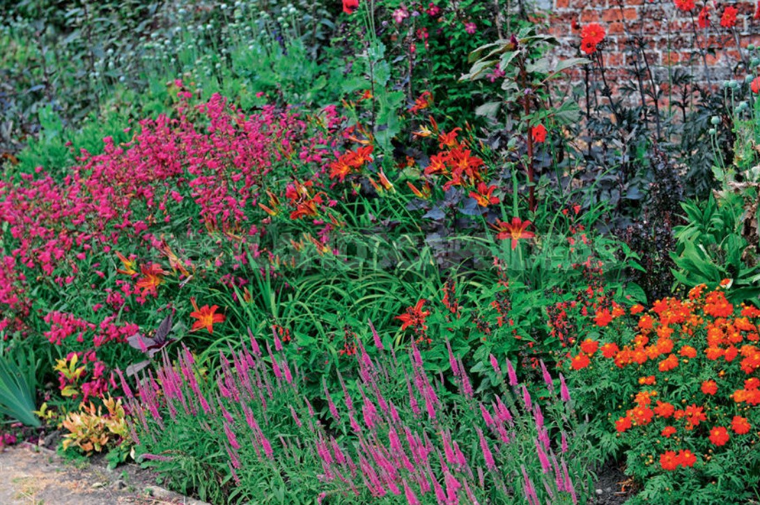 15 Cottage Garden Design Ideas. Creating a Blooming Plot, Like The English