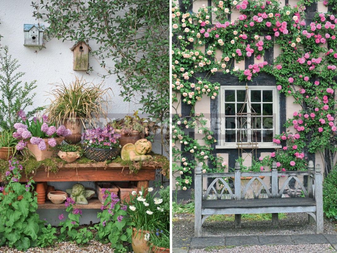 15 Cottage Garden Design Ideas. Creating a Blooming Plot, Like The English