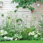 Beauty Without Borders: What To Plant In The Problem Area Near The Walls Of The House