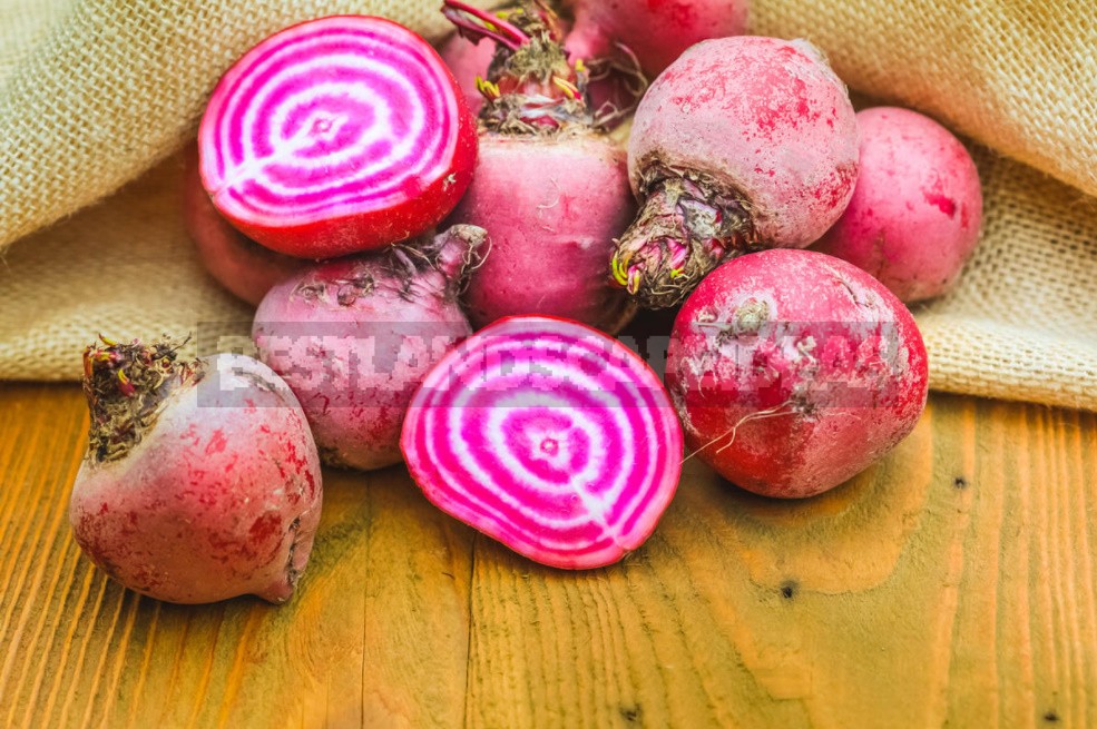 Colorful Wonders: Unusual Varieties Of Carrots And Beets