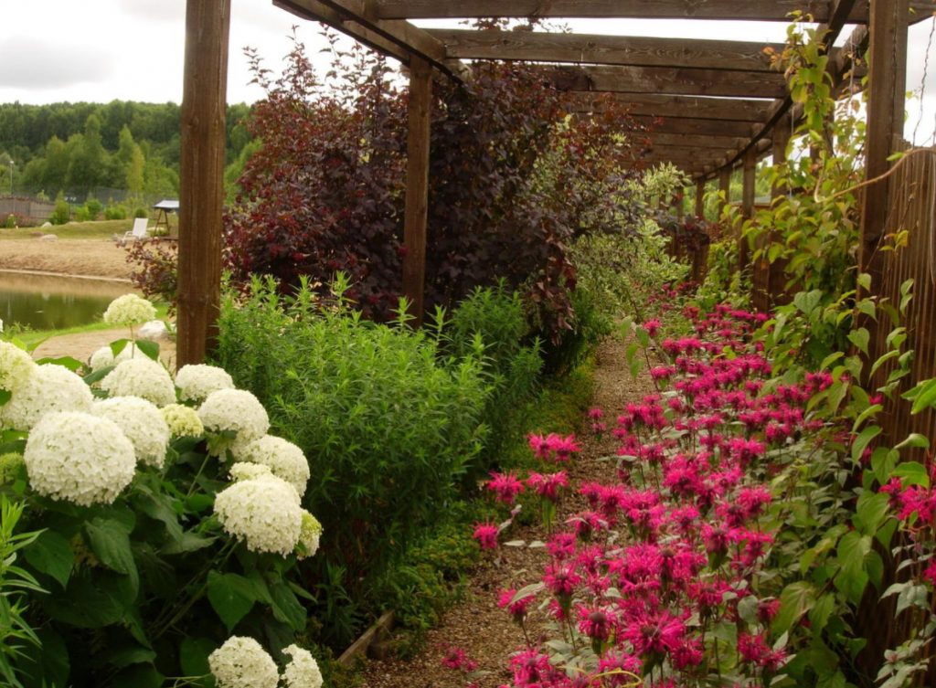 Garden Of Herbs: We Select Plants (Part 2) - Best Landscape Ideas