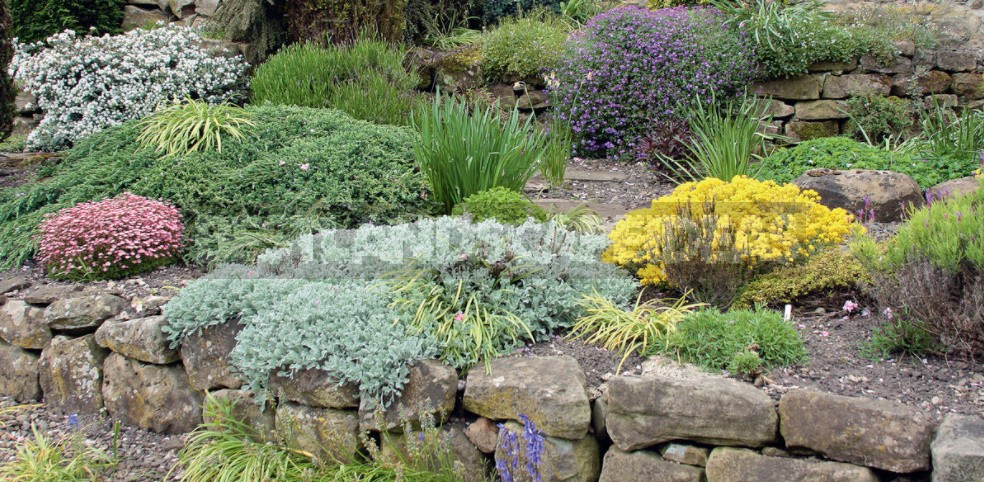 Ideas For Using Stone In The Garden: Choose a Place And Create Beautiful Combinations