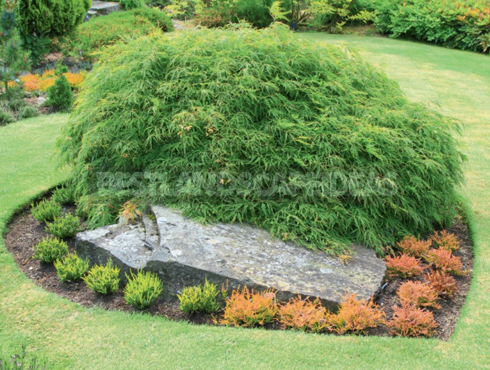 Ideas For Using Stone In The Garden: Choose a Place And Create Beautiful Combinations