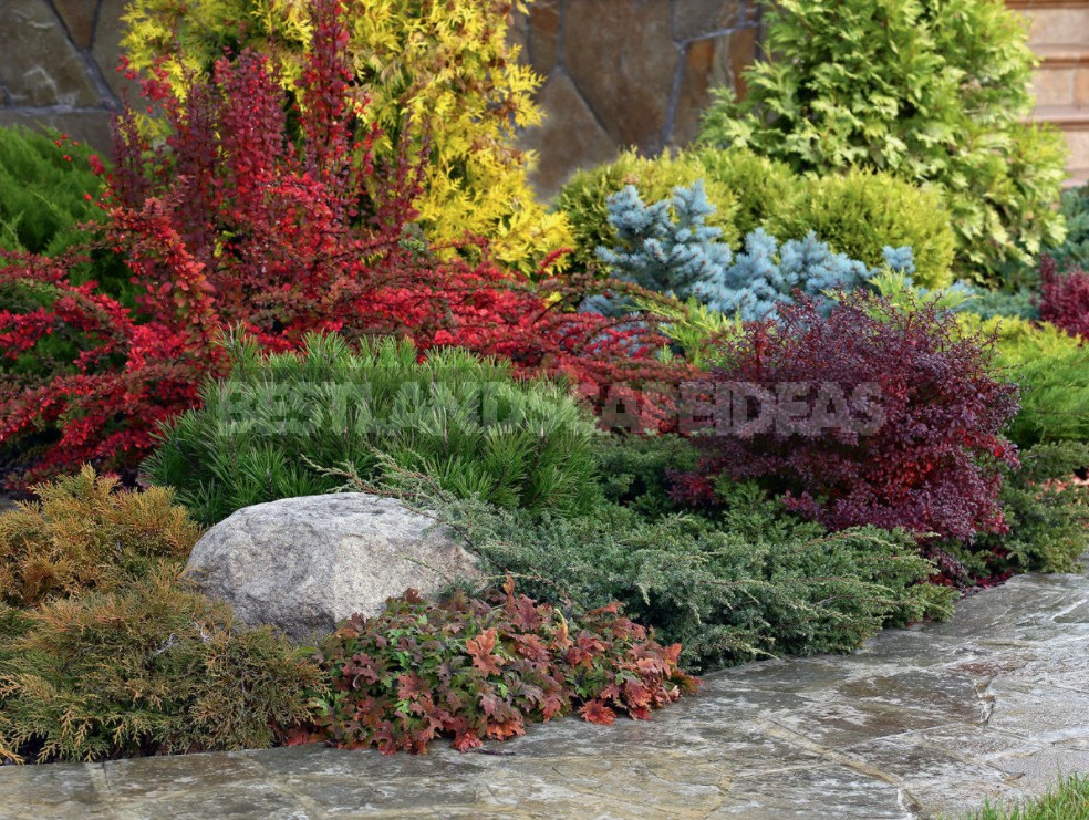 Ideas For Using Stone In The Garden: Choose a Place And Create Beautiful Combinations
