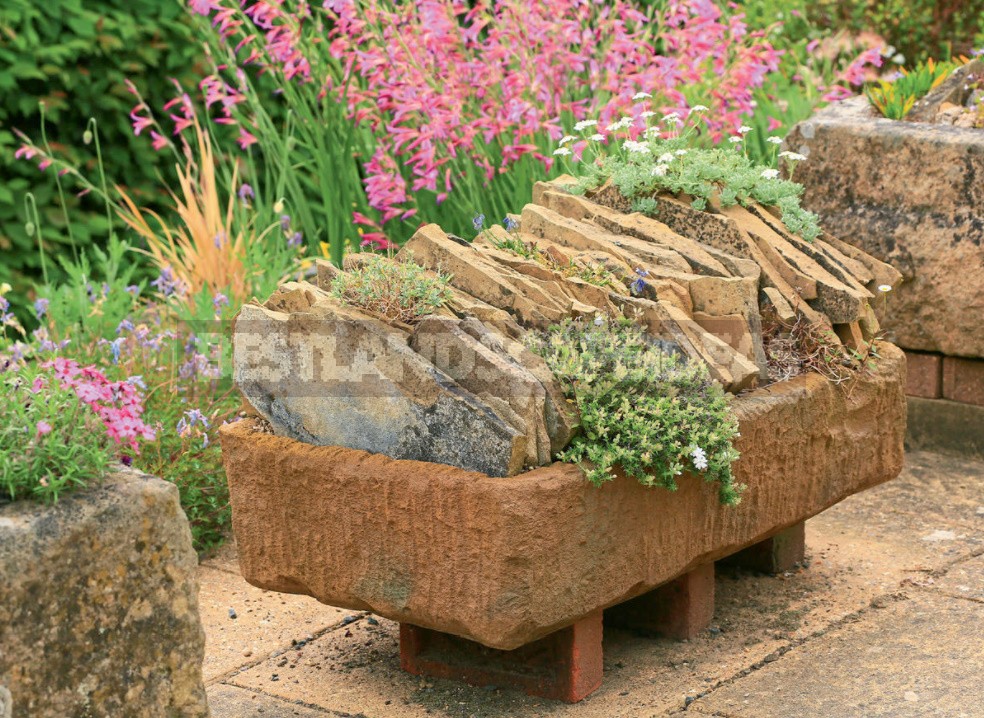 Ideas For Using Stone In The Garden: Choose a Place And Create Beautiful Combinations