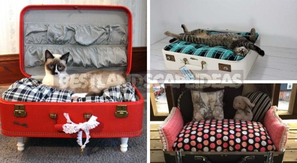 Suitcase Makeover: Practical And Cute Ideas