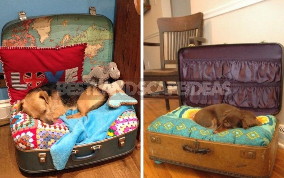 Suitcase Makeover: Practical And Cute Ideas