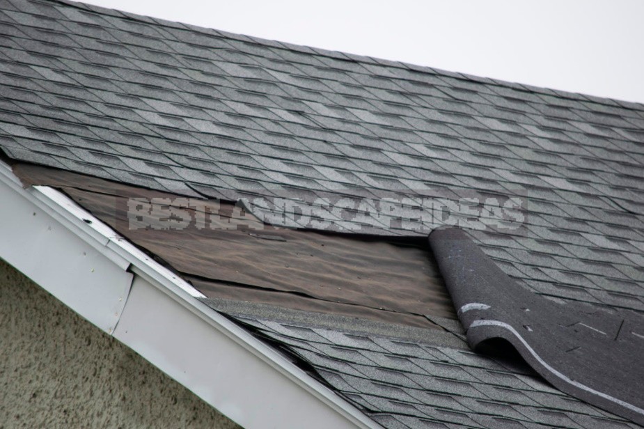 Than To Cover The Roof Of The House. Choosing a Roofing Material