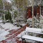 The Charm Of a Snow-Covered Garden: What Pleases Us In Winter