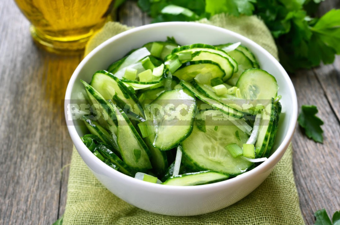 Useful Properties Of Cucumbers And Recommendations For Their Cultivation