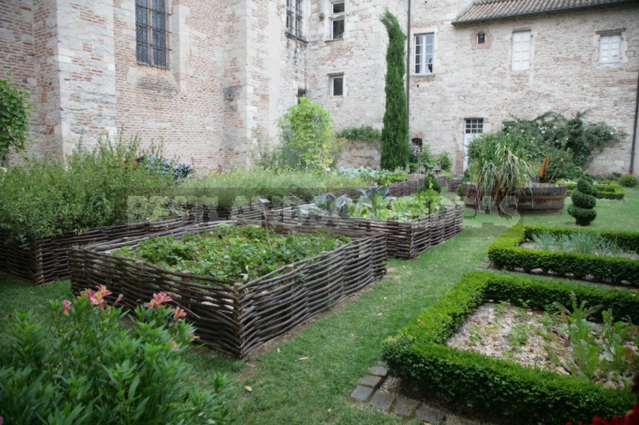 Garden Of Herbs: Ideas Of Interesting Compositions