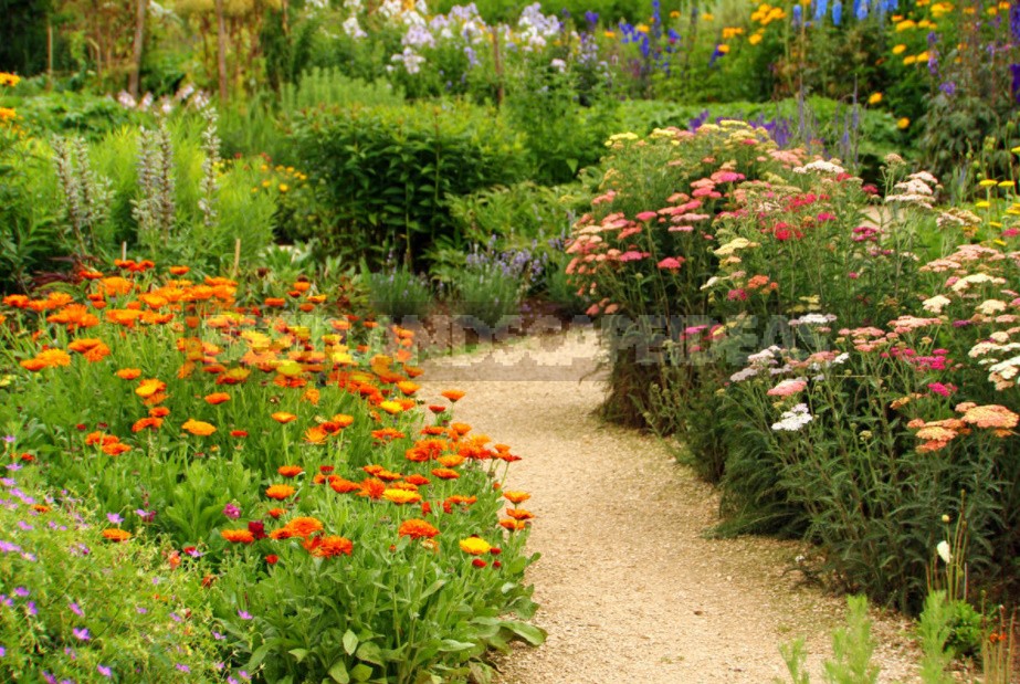 Three Types Of Garden Paths On Your Property