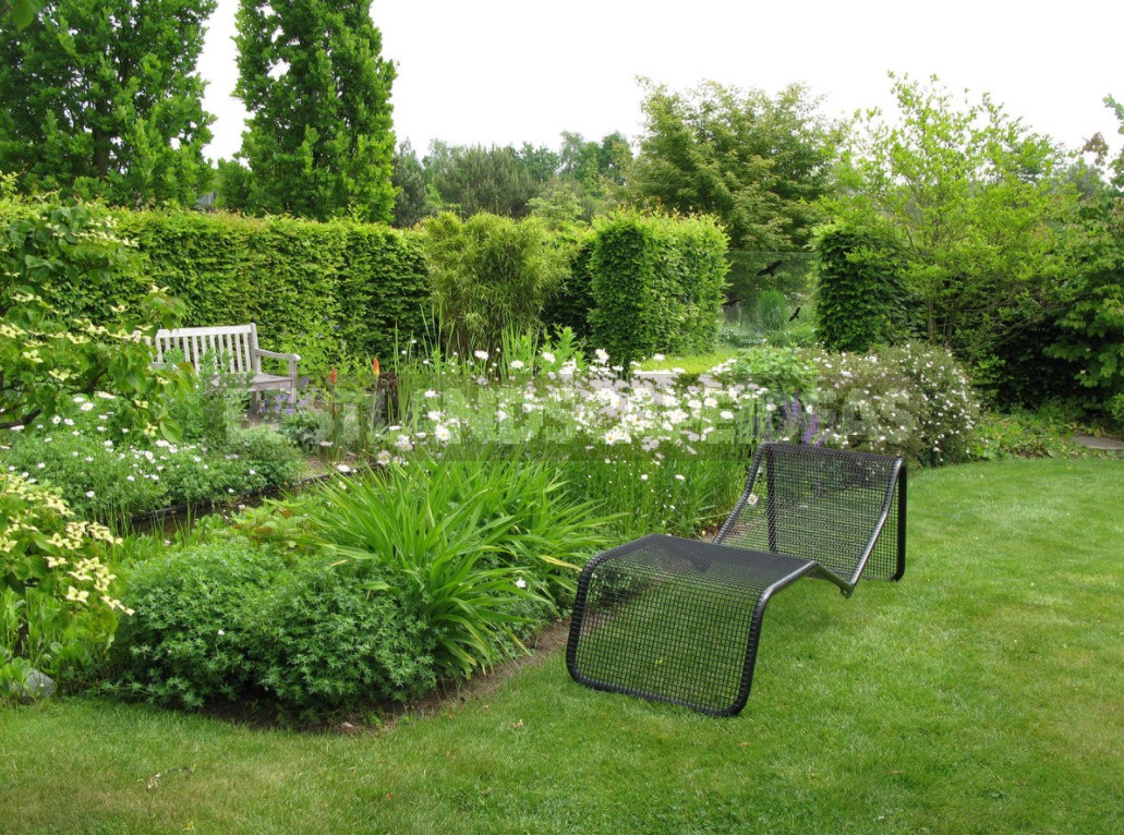 Border Zone: Secrets of Beautiful Border Design of Flower Beds and Plantings