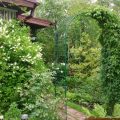 Effective Microorganisms In The Garden: How to Use it?