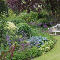 Flower Garden From Scratch: 5 Tips To Help You Make An Amazing Flower Bed