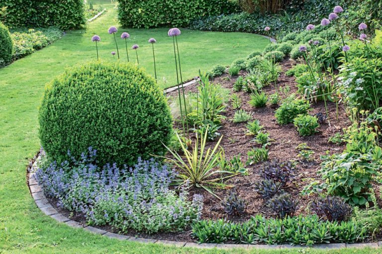 Flower Garden From Scratch 5 Tips To Help You Make An Amazing Flower