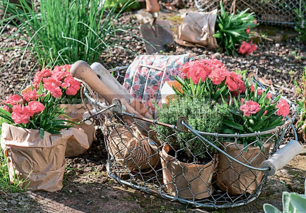 Flower Garden From Scratch: 5 Tips To Help You Make An Amazing Flower Bed