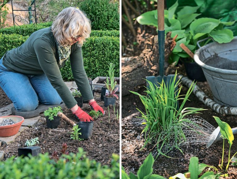 Flower Garden From Scratch 5 Tips To Help You Make An Amazing Flower