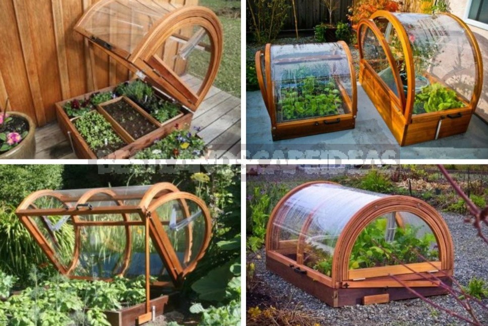 Greenhouse Options: Ready-Made And Hand-Made