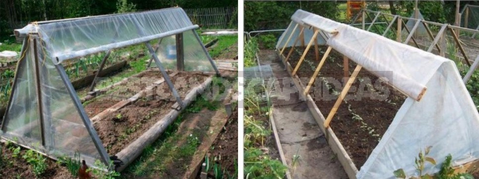 Greenhouse Options: Ready-Made And Hand-Made