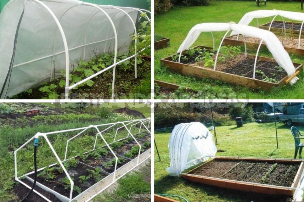 Greenhouse Options: Ready-Made And Hand-Made