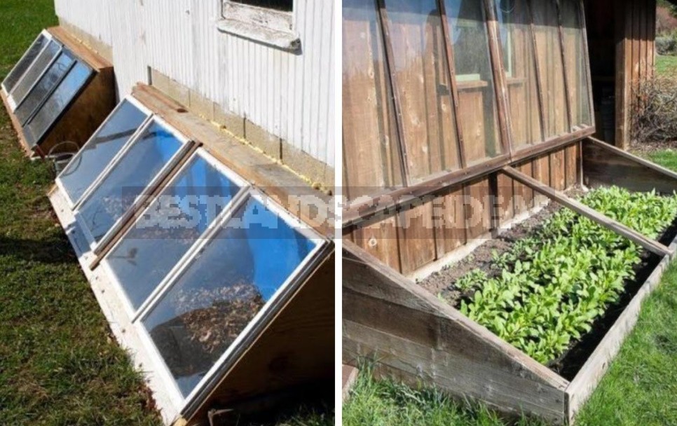 Greenhouse Options: Ready-Made And Hand-Made