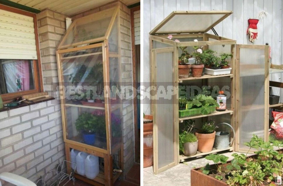 Greenhouse Options: Ready-Made And Hand-Made