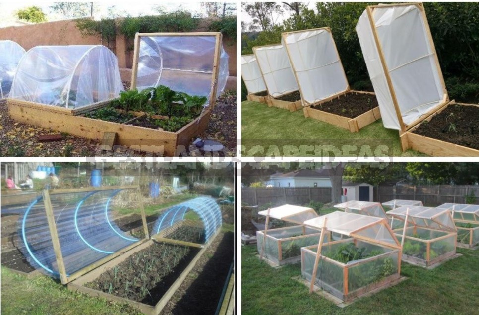 Greenhouse Options: Ready-Made And Hand-Made